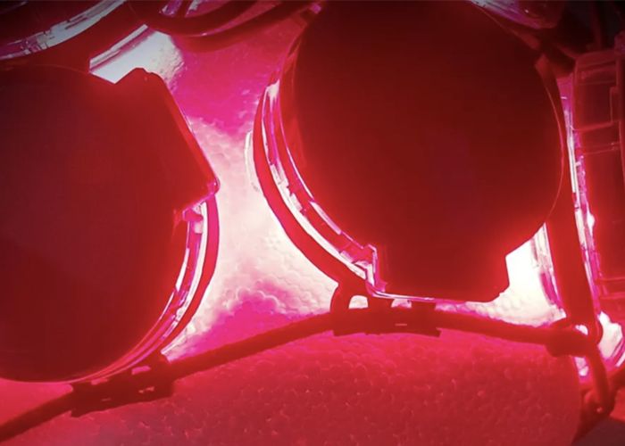 REGEnLIFE teste la stimulation lumineuse sur les maladies neurodégénératives